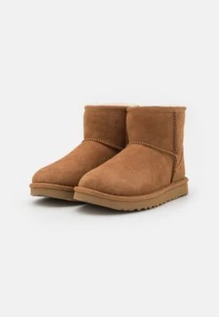 Ugg Classic Mini Regenerate - Korte Laarzen - Chestnut -Dames Schoenenwinkel 91ddfe54a0364645be52c0ae908d52e9